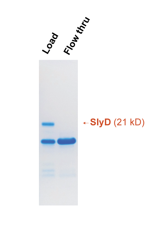 Slyd In slyD-A1(Resin) – Nectagen